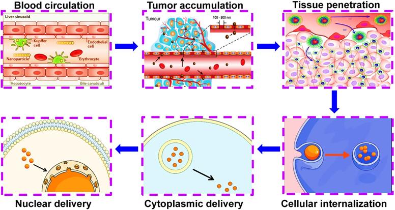 Theranostics Image