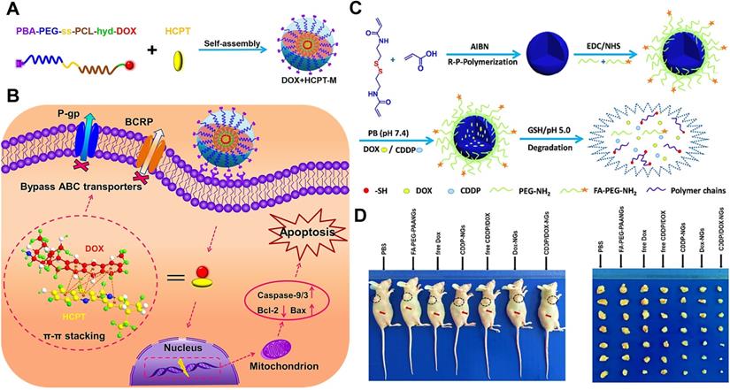 Theranostics Image