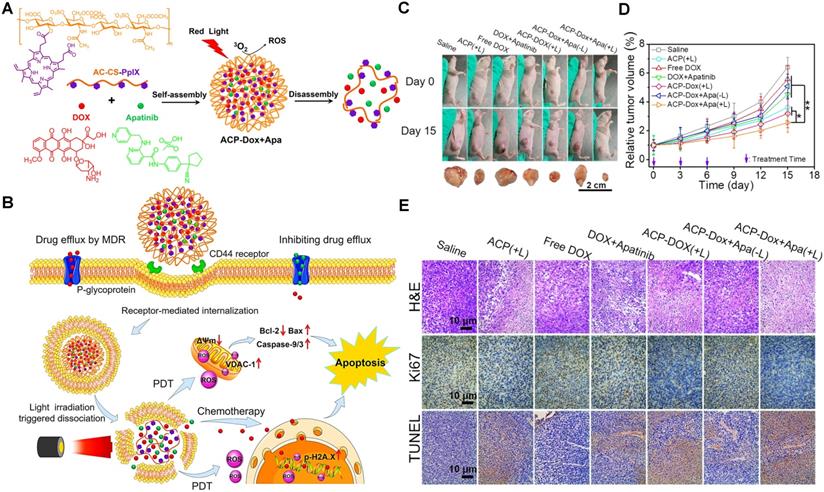 Theranostics Image