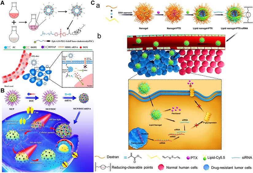 Theranostics Image