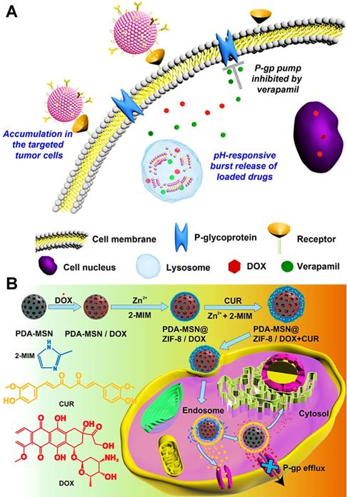 Theranostics Image