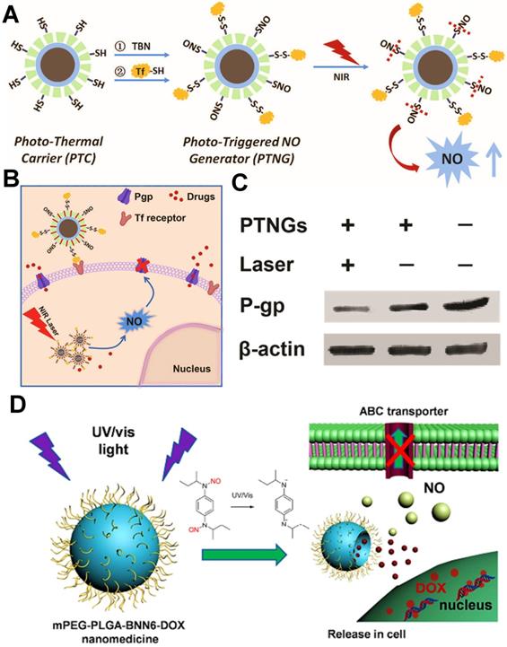 Theranostics Image