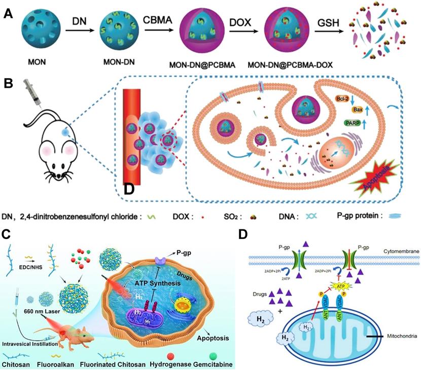 Theranostics Image