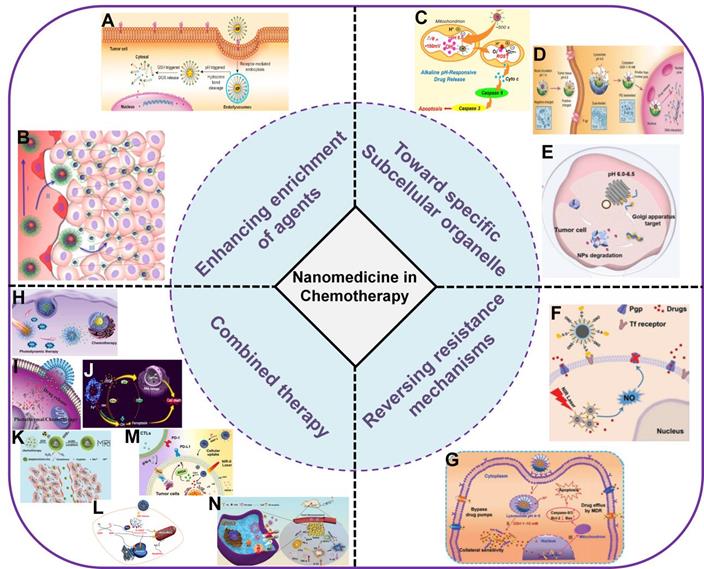 Theranostics Image