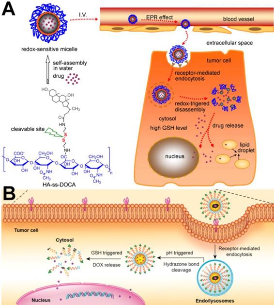 Theranostics Image