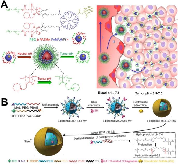 Theranostics Image