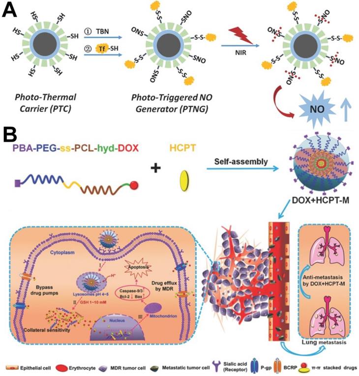 Theranostics Image