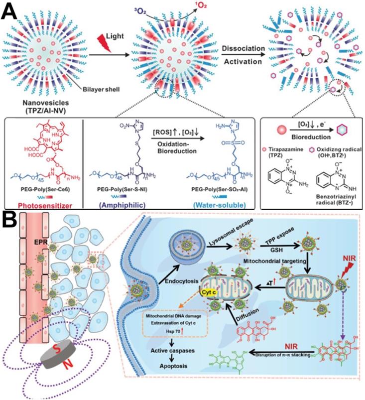 Theranostics Image