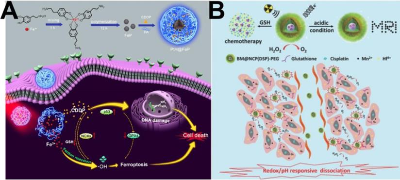 Theranostics Image