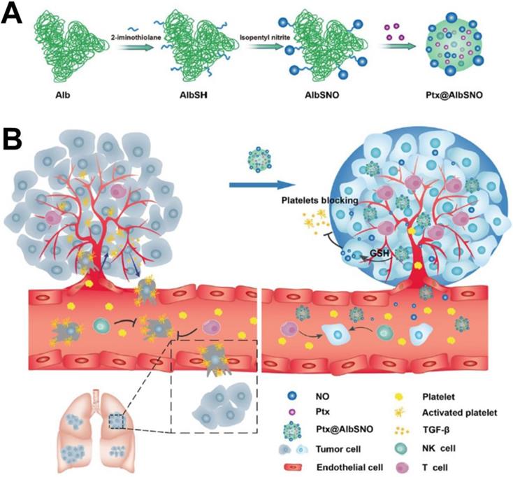 Theranostics Image