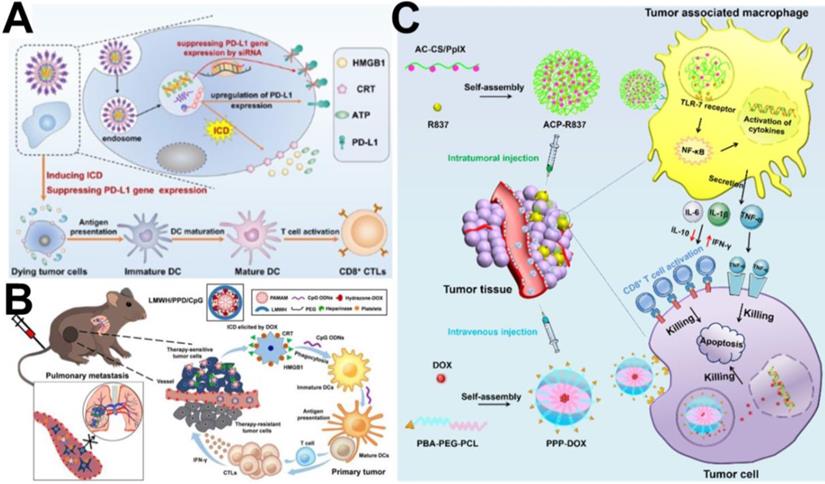 Theranostics Image