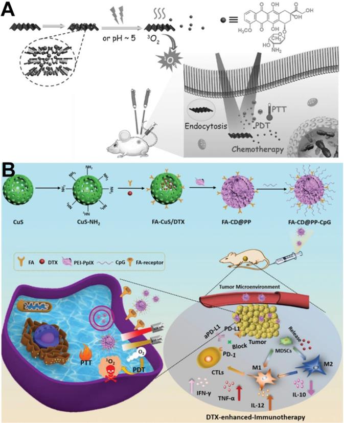 Theranostics Image