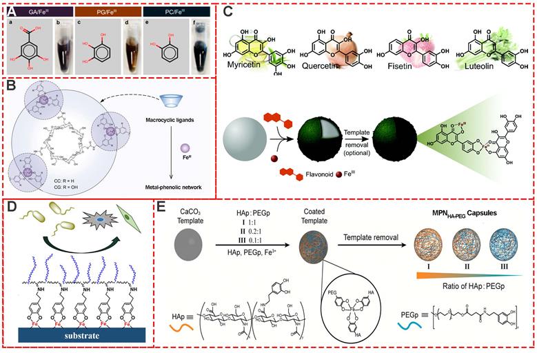 Theranostics Image