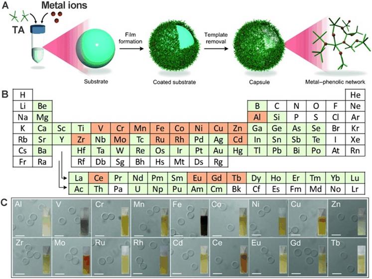 Theranostics Image