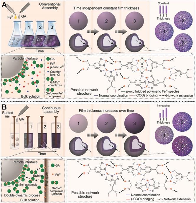 Theranostics Image