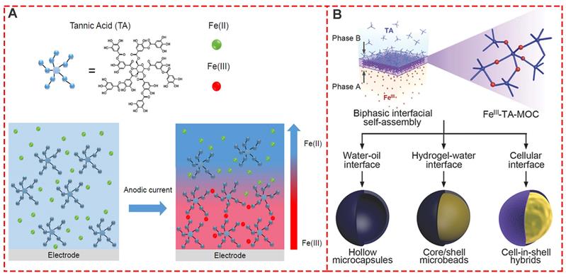 Theranostics Image