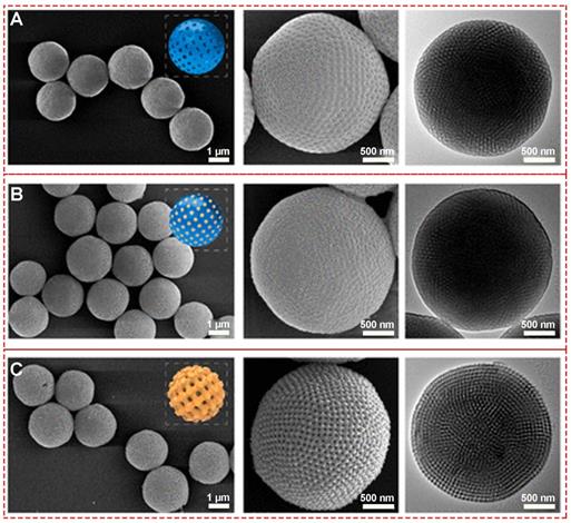 Theranostics Image