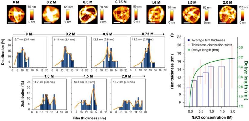 Theranostics Image