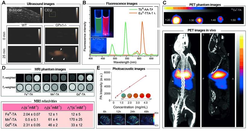 Theranostics Image