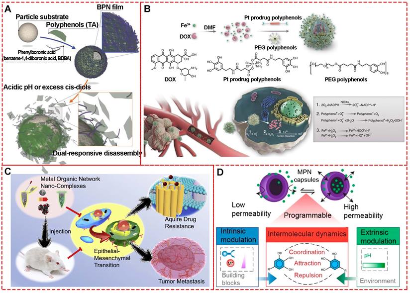 Theranostics Image