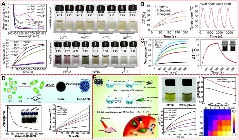 Theranostics Image