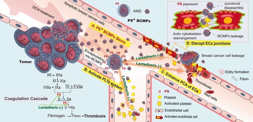 Theranostics Image