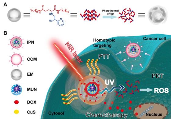 Theranostics Image