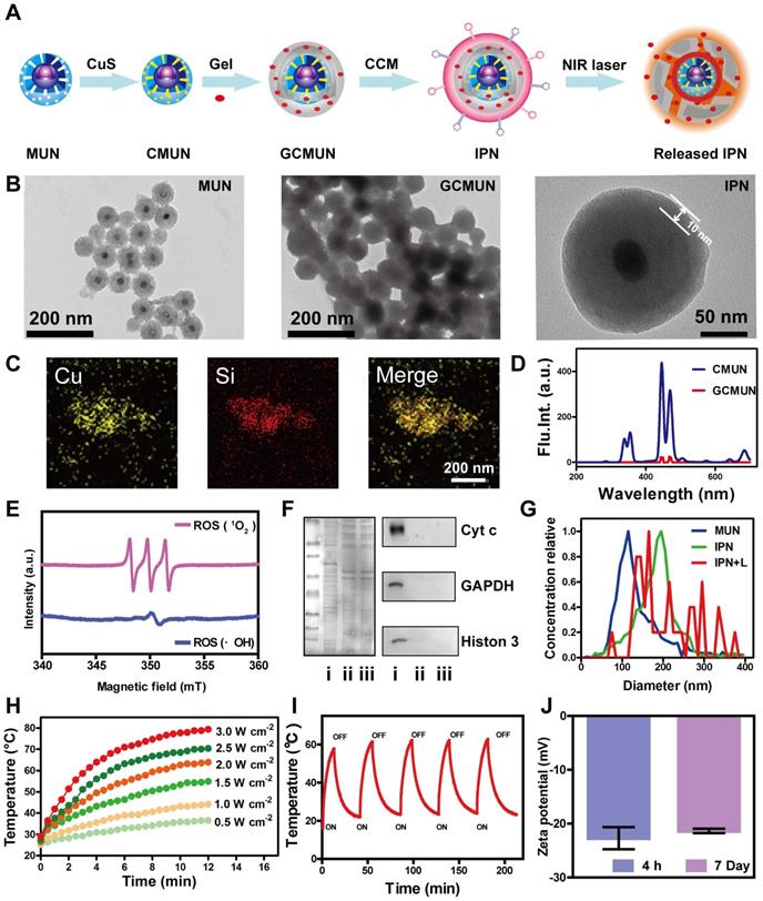 Theranostics Image