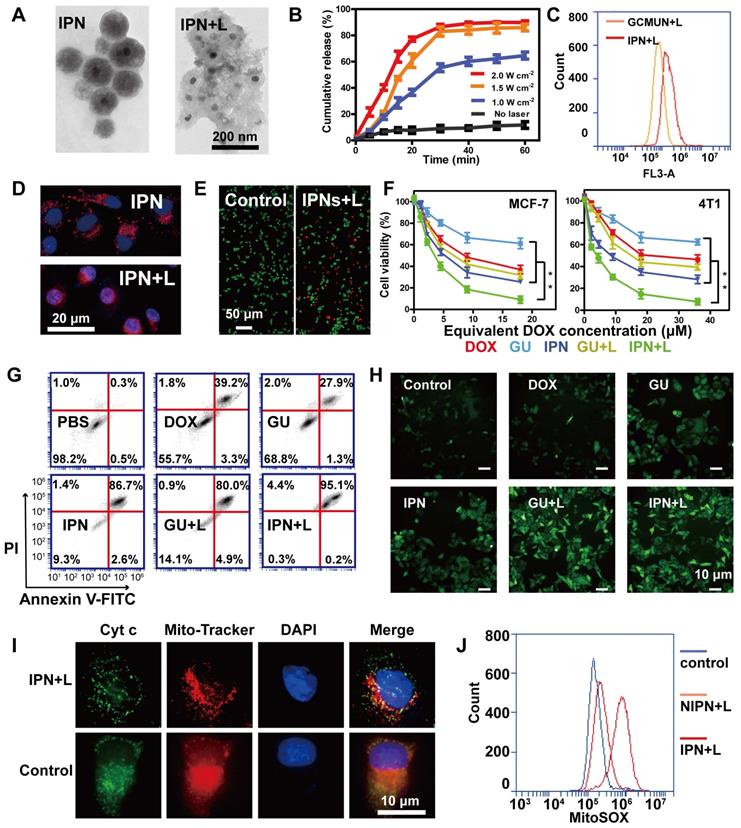 Theranostics Image