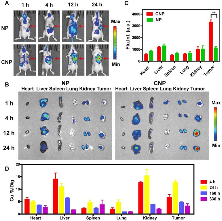 Theranostics Image