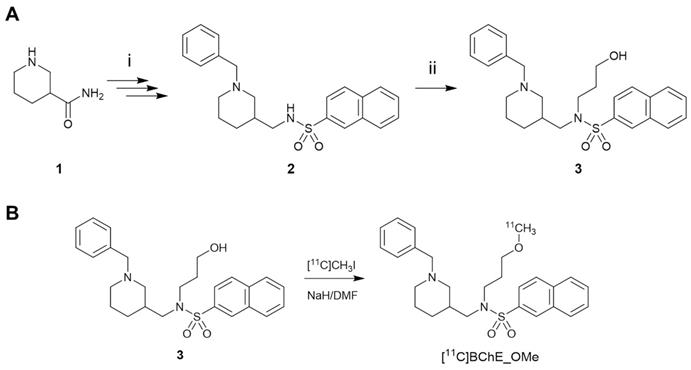 Theranostics Image