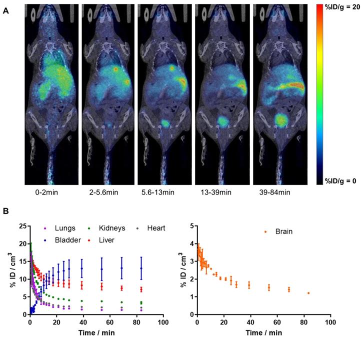 Theranostics Image