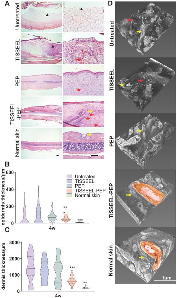 Theranostics Image