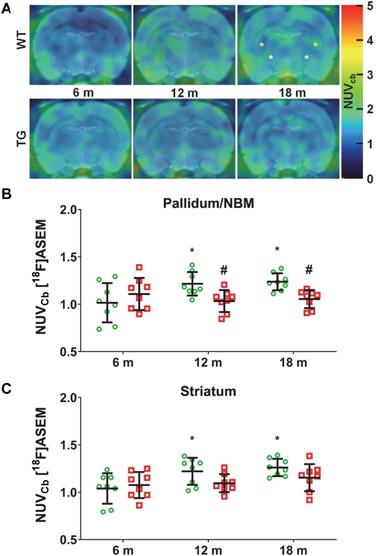 Theranostics Image