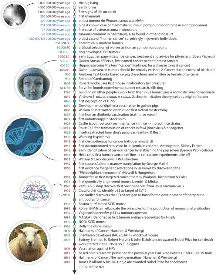 Theranostics Image