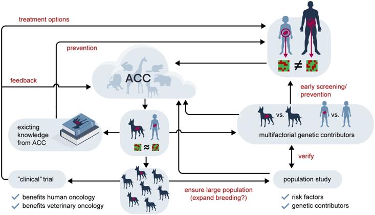 Theranostics Image