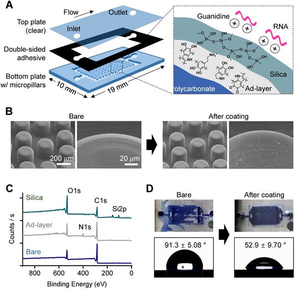 Theranostics Image