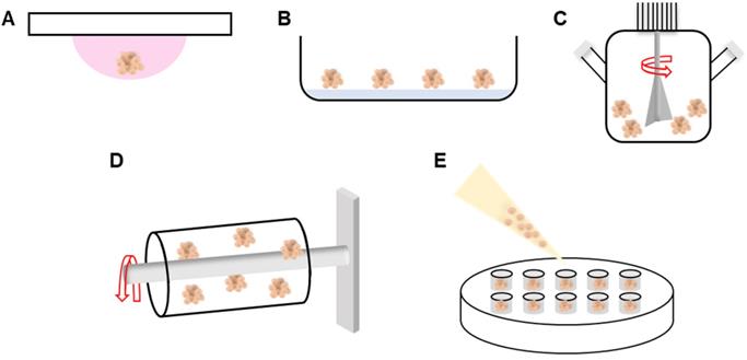 Theranostics Image