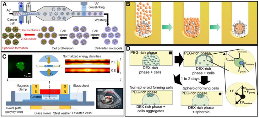 Theranostics Image