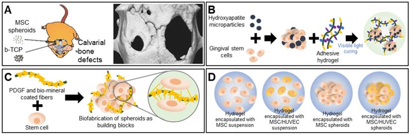 Theranostics Image