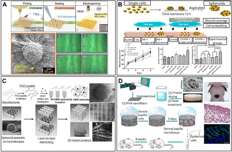 Theranostics Image