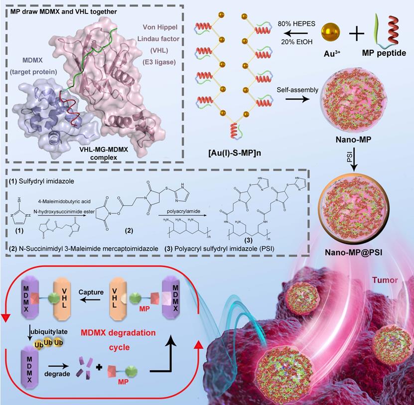 Theranostics Image