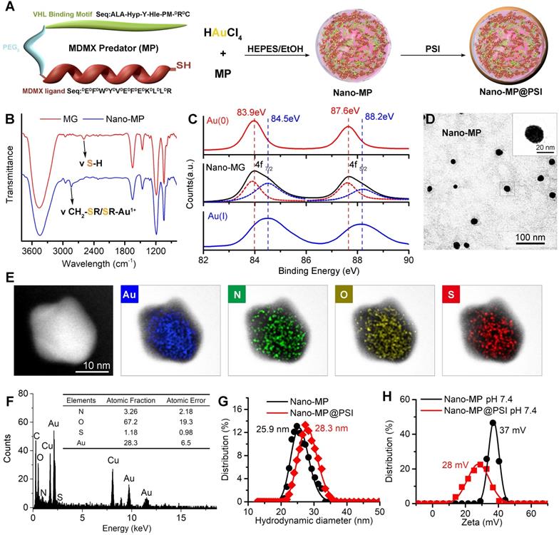 Theranostics Image