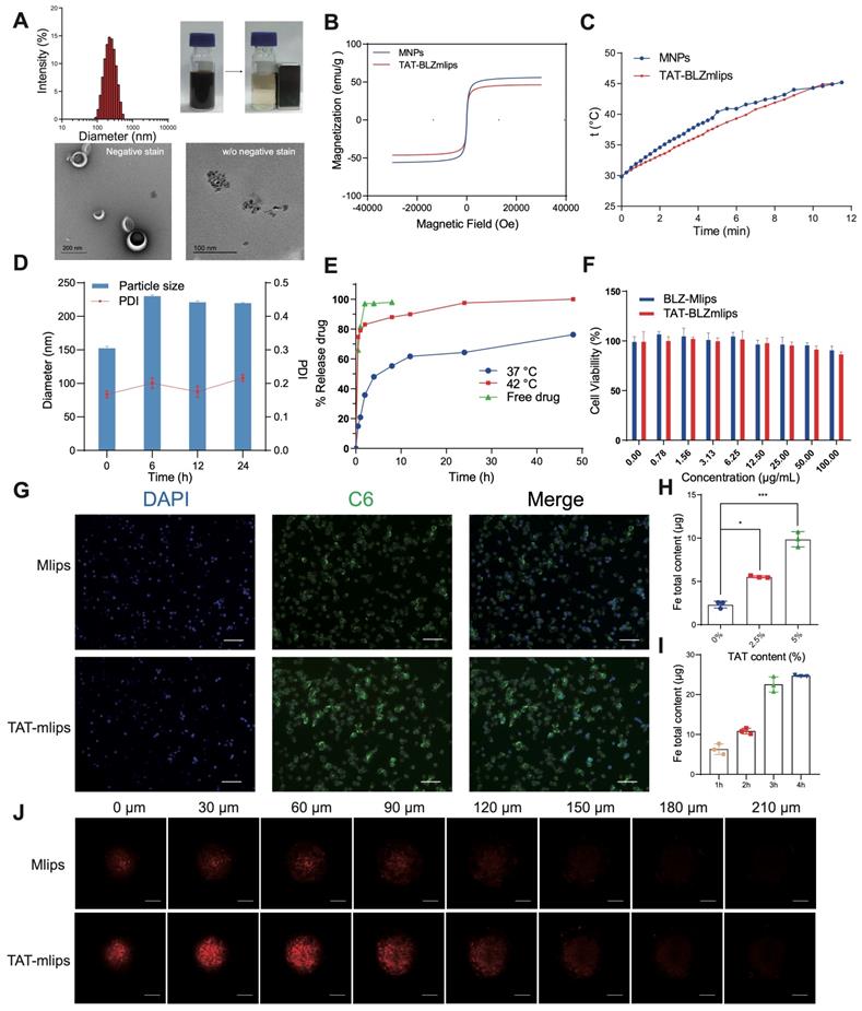 Theranostics Image