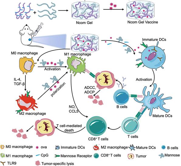 Theranostics Image