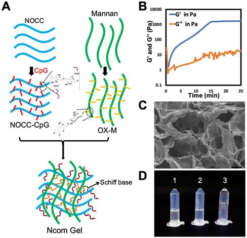 Theranostics Image