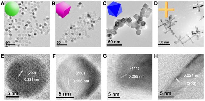 Theranostics Image