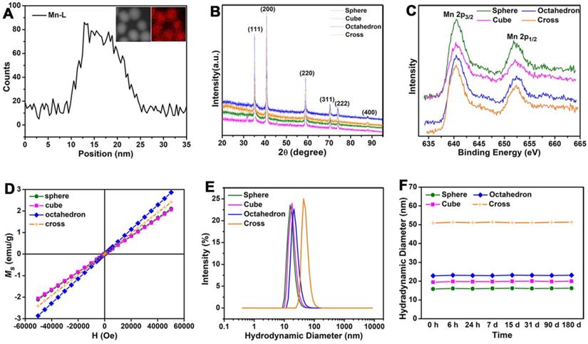 Theranostics Image