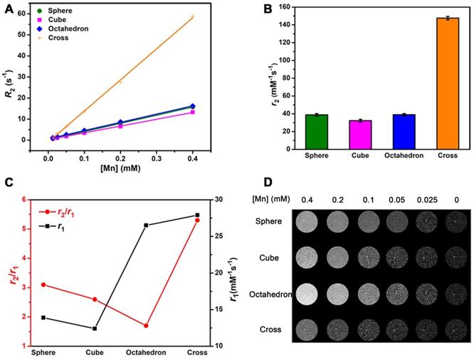 Theranostics Image