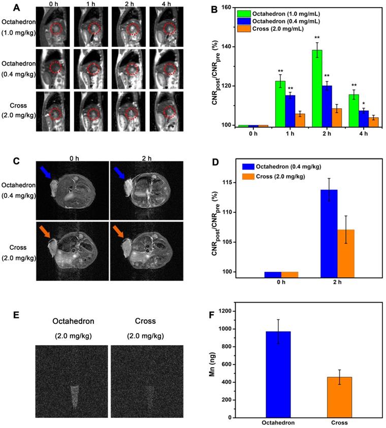 Theranostics Image